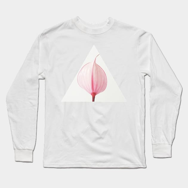 Pink Calla Lily II Long Sleeve T-Shirt by Cassia